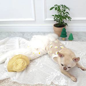 강아지 꽃향기뷔스티에
