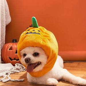 호박 모자 강아지 고양이 할로윈 펫 코스튬 의상