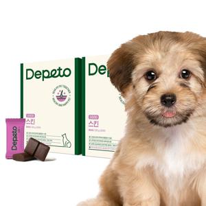 [1+1] 굿 스킨 강아지 피부건강 영양제 2박스