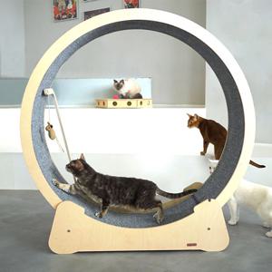 고양이 무소음 대형 캣휠 고양이가 스스로 뛴다 / 고양이 운동기구