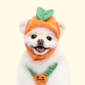 새콤달콤 귤 모자