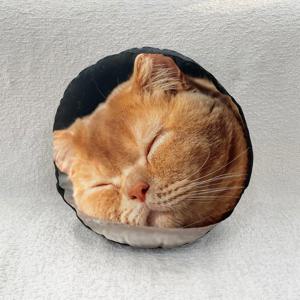 고양이 원형 양면 찰떡 쿠션 3size 완전 푹신한 마이크로화이바 프린팅 인테리어 소품