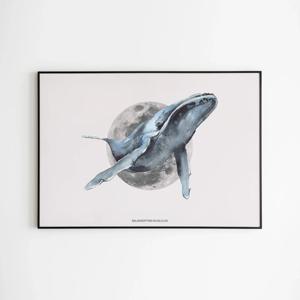 바다 고래 그림 동물 일러스트 포스터 인테리어 액자 - 11. 모던 흰수염고래