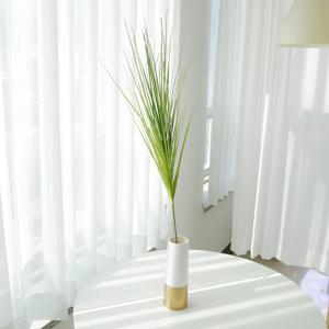 인테리어 갈대 조화 가지 그린 팜파스 그라스 중형 100cm