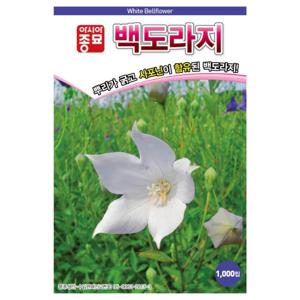 백도라지씨앗 백도라지(1000립)