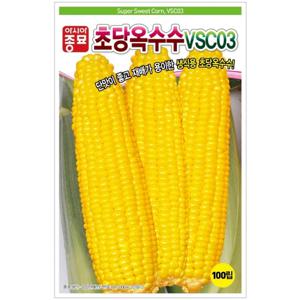 초당옥수수(VSC-03)옥수수씨앗(100립)