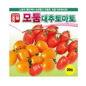 토마토씨앗 모둠 대추 방울토마토(20립)