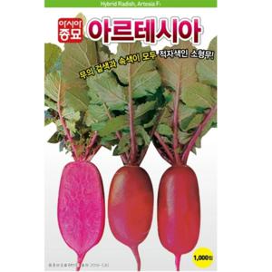 무씨앗 아르테시아 (1000립)