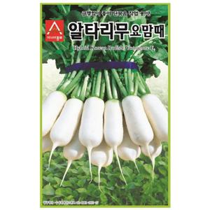 무씨앗 요맘때 알타리(20g)