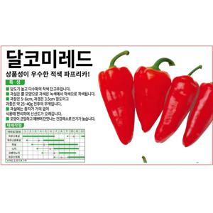 파프리카씨앗 달코미레드 파프리카(10립)