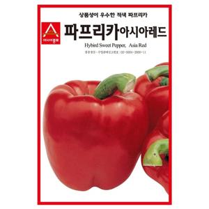 파프리카씨앗 아시아레드(100립)