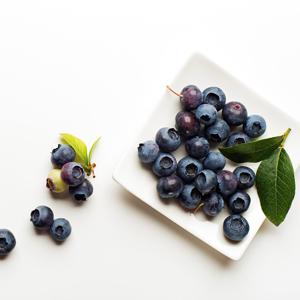 캐나다산 야생 블루베리 1kg