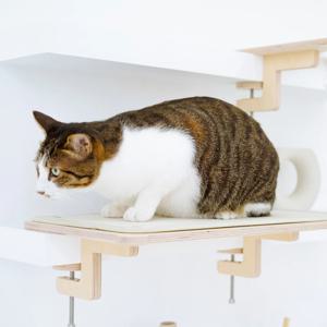 냥터 스텝형 고양이 책상, 책장선반 소형 대형 캣타워