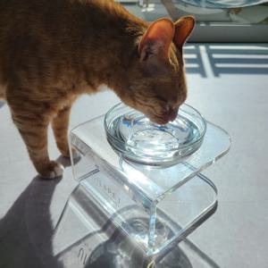 고양이 강아지 애견 물그릇 밥그릇 식기 식탁 투명유리수반