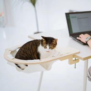 냥터 해먹형 고양이 책상, 책장선반 소형 대형 캣타워