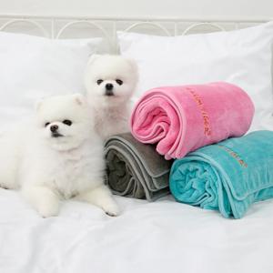 반려동물 포켓타월 강아지타월 강아지수건