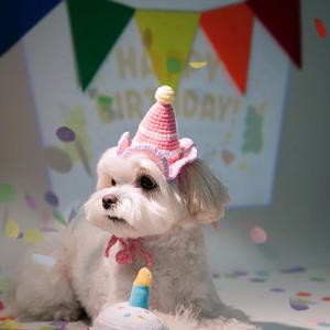 반려동물 파티 미니 빔 프로젝터 (칩 3개 포함)