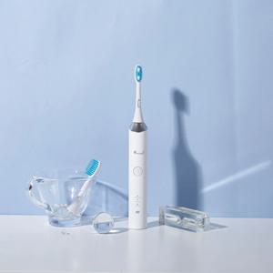 클래식 음파 전동칫솔 DP-5001