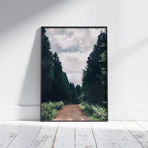 제주 숲 사진 인테리어 포스터 forest