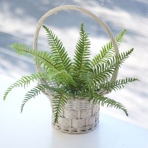 53cm 뉴보스톤부쉬 조화 플랜테리어