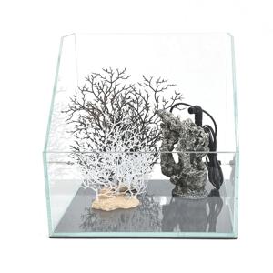 사선형 유리수조와 인조산호초 소금바위 미니분수대 비바리움 수반 어향 미니정원 인테리어