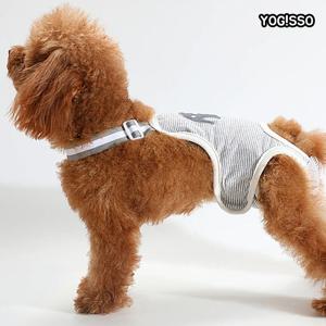 코끼리 위생팬티