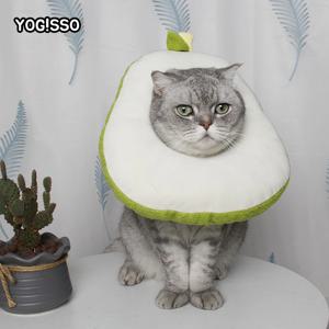 아보카도 넥카라