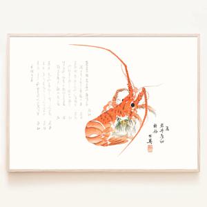 빨간 새우 그림 쉬림프 shrimp 포스터 일식집소품 액자