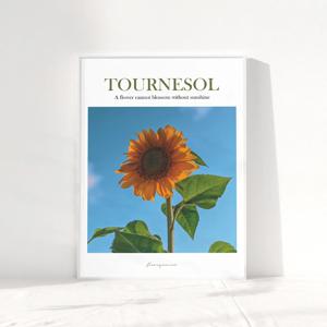 풍수 돈 들어오는 모던 해바라기 그림 액자 포스터 50종 45. 모던_설레임