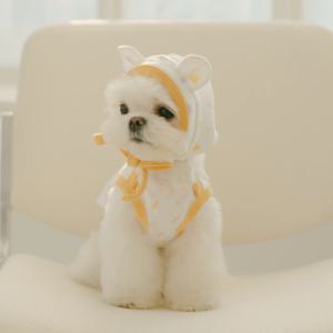 강아지 오가닉 베베 보닛(3colors)