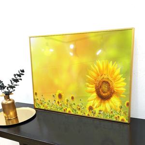 돈 들어오는 노란 미니 해바라기 노란배경 거실 인테리어 소품