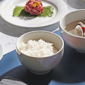 홀로그램 오로라 플레이트 공기