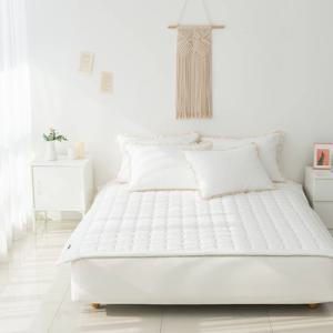 사계절 부드러운 터치 마이크로모달 아일라 거실카페트/침대패드Q 3colors