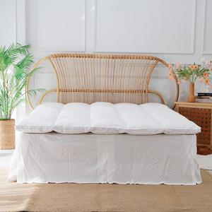 프리미엄 헝가리 구스토퍼 -라지킹(LK)