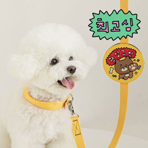 고심이 콜라보 산책 메세지 와펜 (4 type)