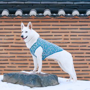 강아지 대형견 김장조끼 할머니조끼 누빔 겨울옷 7size 2colors