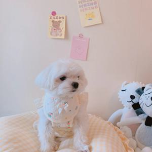 강아지턱받이 케이프 스카프