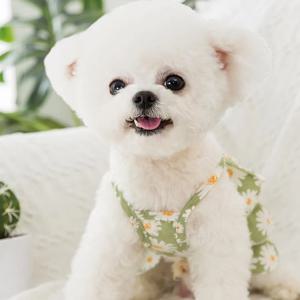 강아지 고양이 하와이안 체리 여름 셔츠 레이스 원피스
