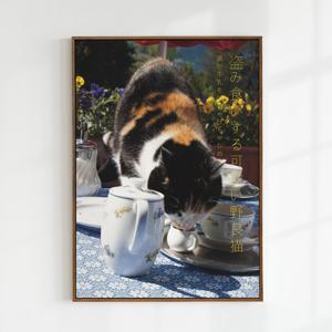 일본감성 고양이포스터 귀여운 동물 하이틴 키치 일식인테리어 그림 stray kitty