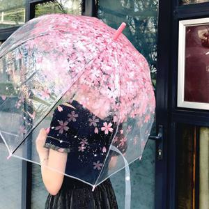 벚꽃 투명 우산 예쁜 핑크 8K 장우산 인스타감성