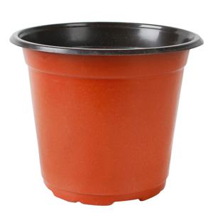 모종포트 15cm 1개 CN 이색포트 모종화분 재배용 화분