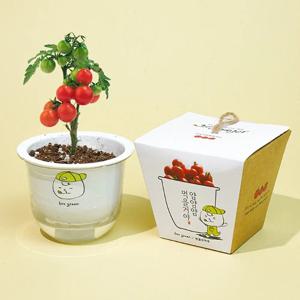 우리가족 식물기르기 프로젝트