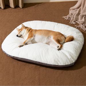 강아지 고양이 꿀잠 방석