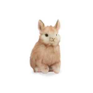 8128 피그미토끼 크림색 동물인형/18cm.L