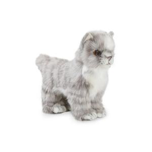 6499 아기고양이 동물인형(Gray)/20cm.L