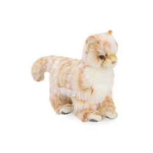 6498 아기고양이 동물인형/20cm.L