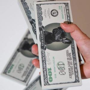 킹받는 모형 종이 돈 떡메