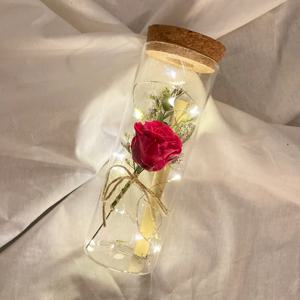 가정의달 LED 편지지 세트 감성 코르크 유리병 기념일 선물
