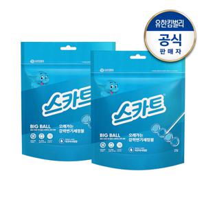 오래가는 강력변기세정볼 아쿠아샤워향 2입x2개