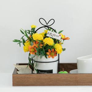 카네이션 조화 화분 새장set 20cm 꽃 어버이날 스승의날 테이블 장식